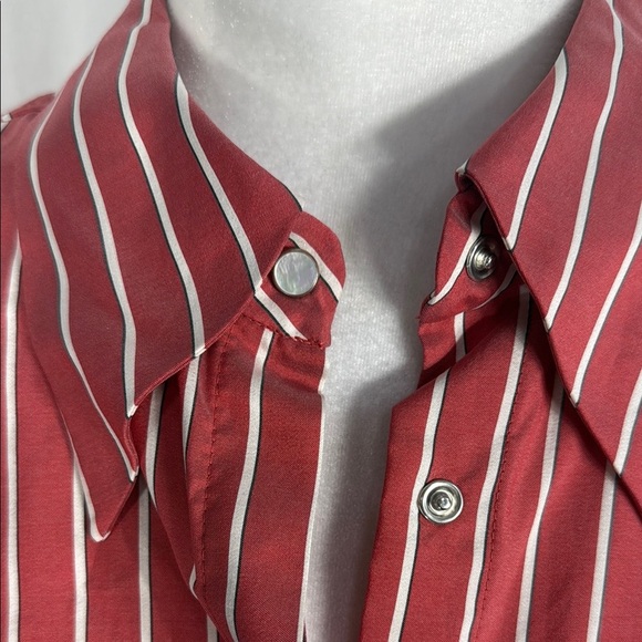 Isabel Marant Étoile Striped Silk Coral Button-Up Shirt, Size 38 / US 6 – Design - Picture 4 of 10